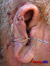 dsc01070