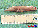 dsc01024